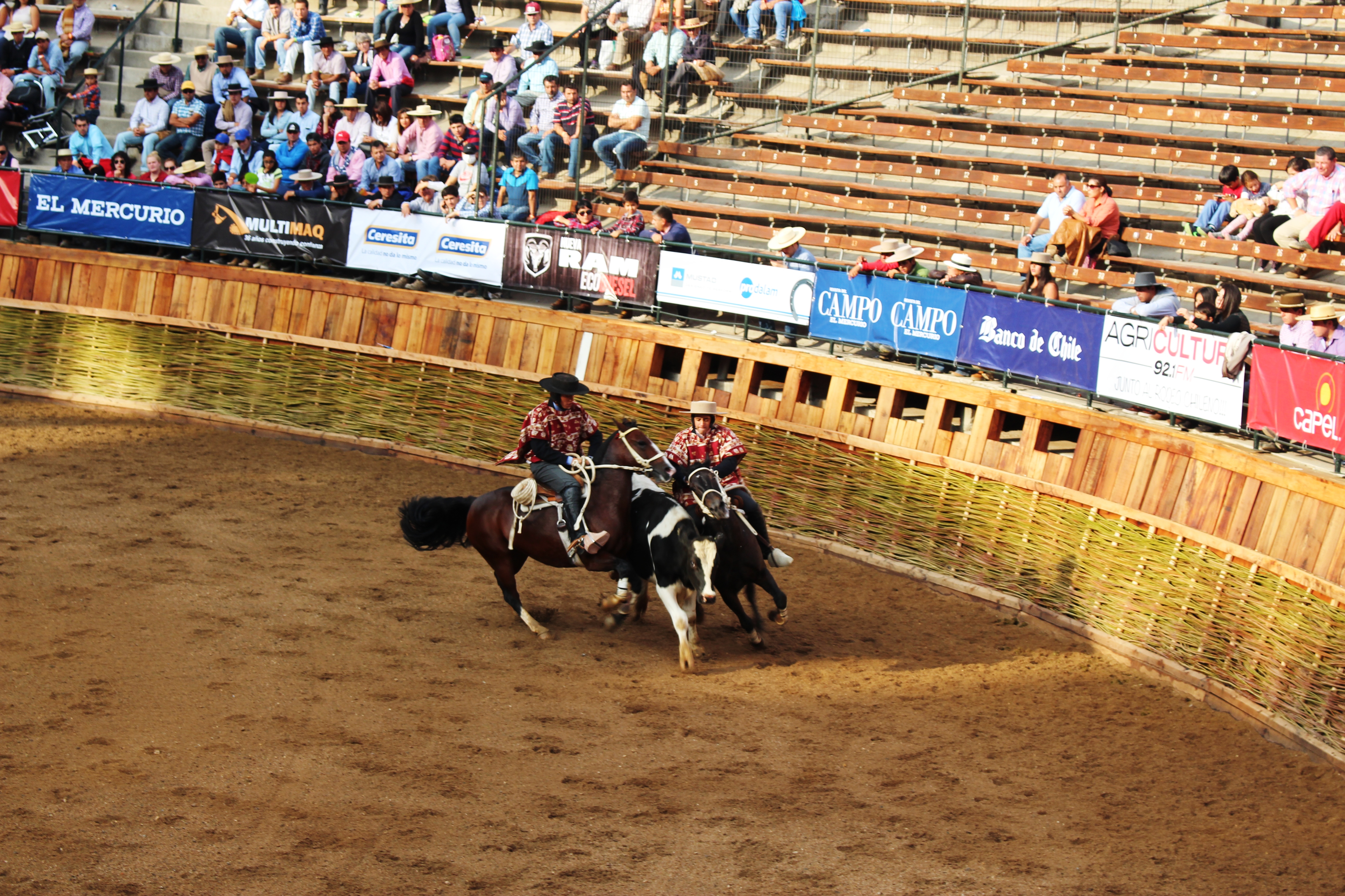 Historia del rodeo chileno